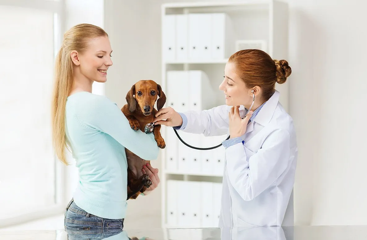 Services | Sibley Animal Hospital