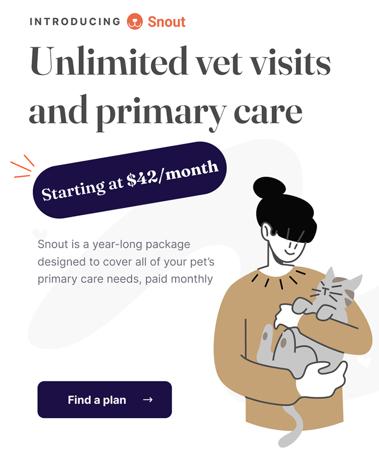Introducing Snout - Unlimited vet visits and primary care starting at $42/month. Snout is a year-long package designed to cover all of your pet's primary care needs, paid monthly.